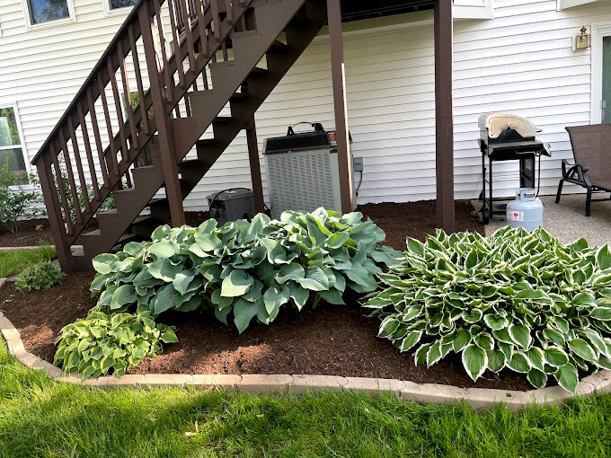 landscaping beach park